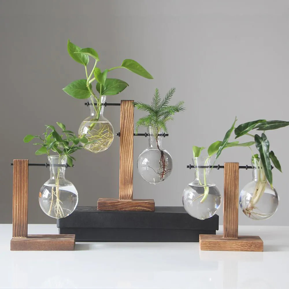 Kreativer Glas Pflanzkübel