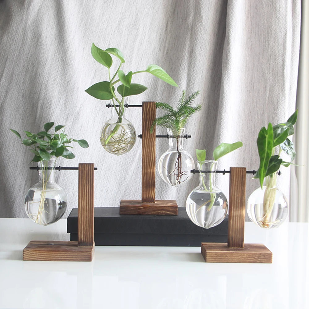 Kreativer Glas Pflanzkübel
