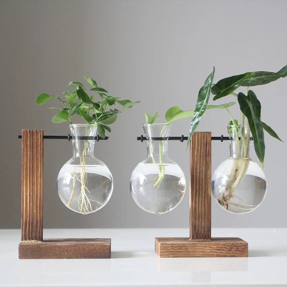 Kreativer Glas Pflanzkübel