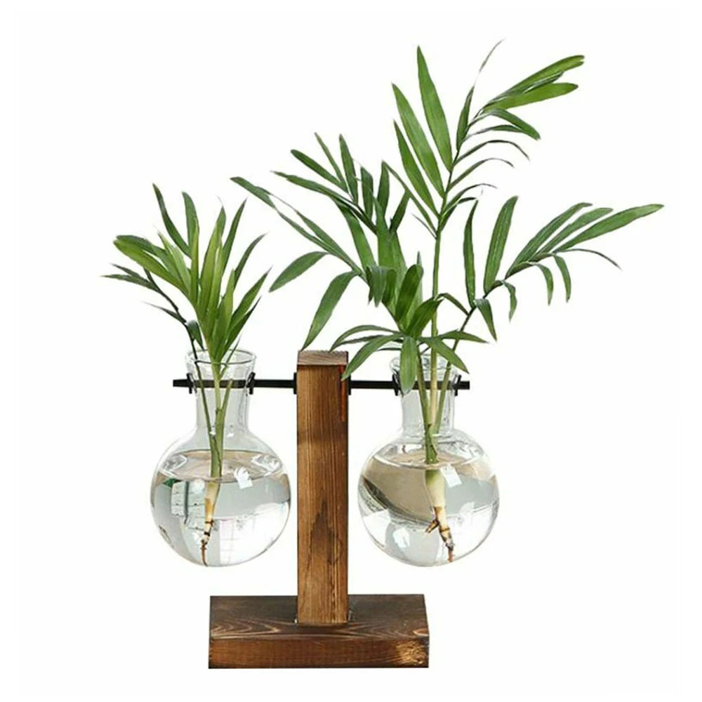Kreativer Glas Pflanzkübel