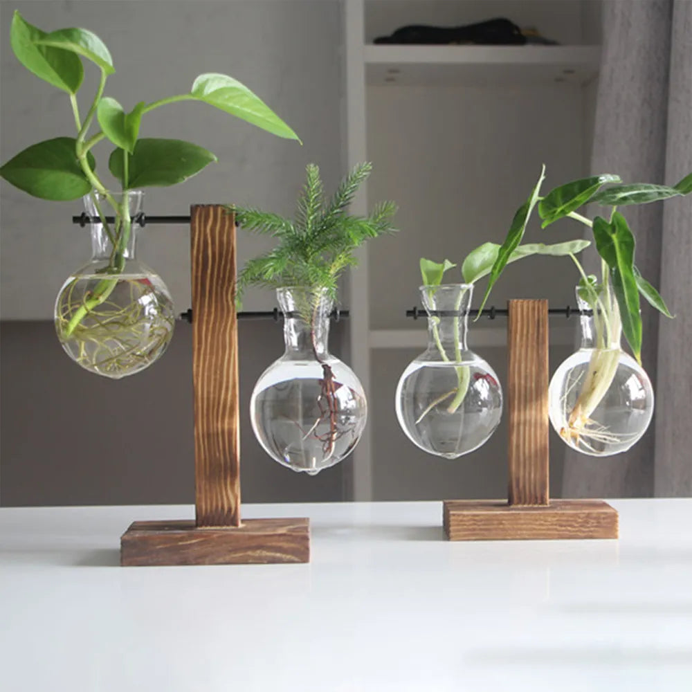 Kreativer Glas Pflanzkübel